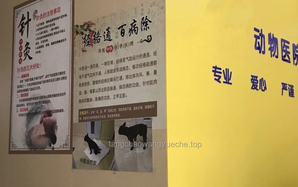 花4000元报冥想班：智商税还是心灵投资？